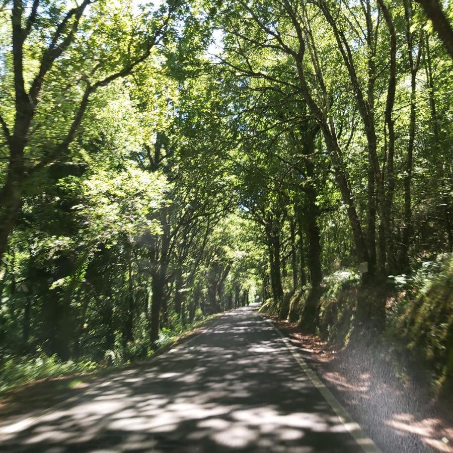 Casa Peleteiro Ribeira Sacra Holiday home *